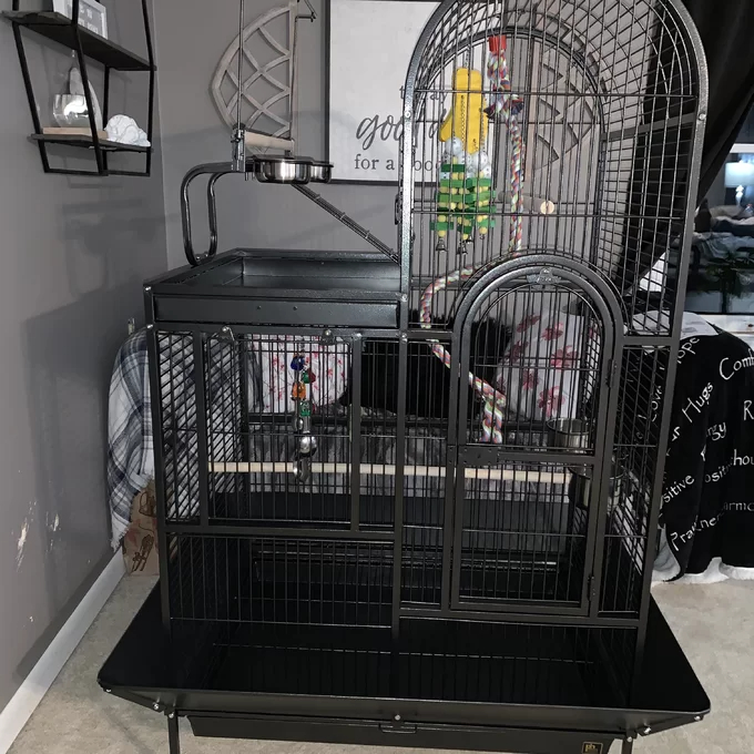 【Pet】Nickelson 66'' Steel Play Top Floor Bird Cage with Wheels