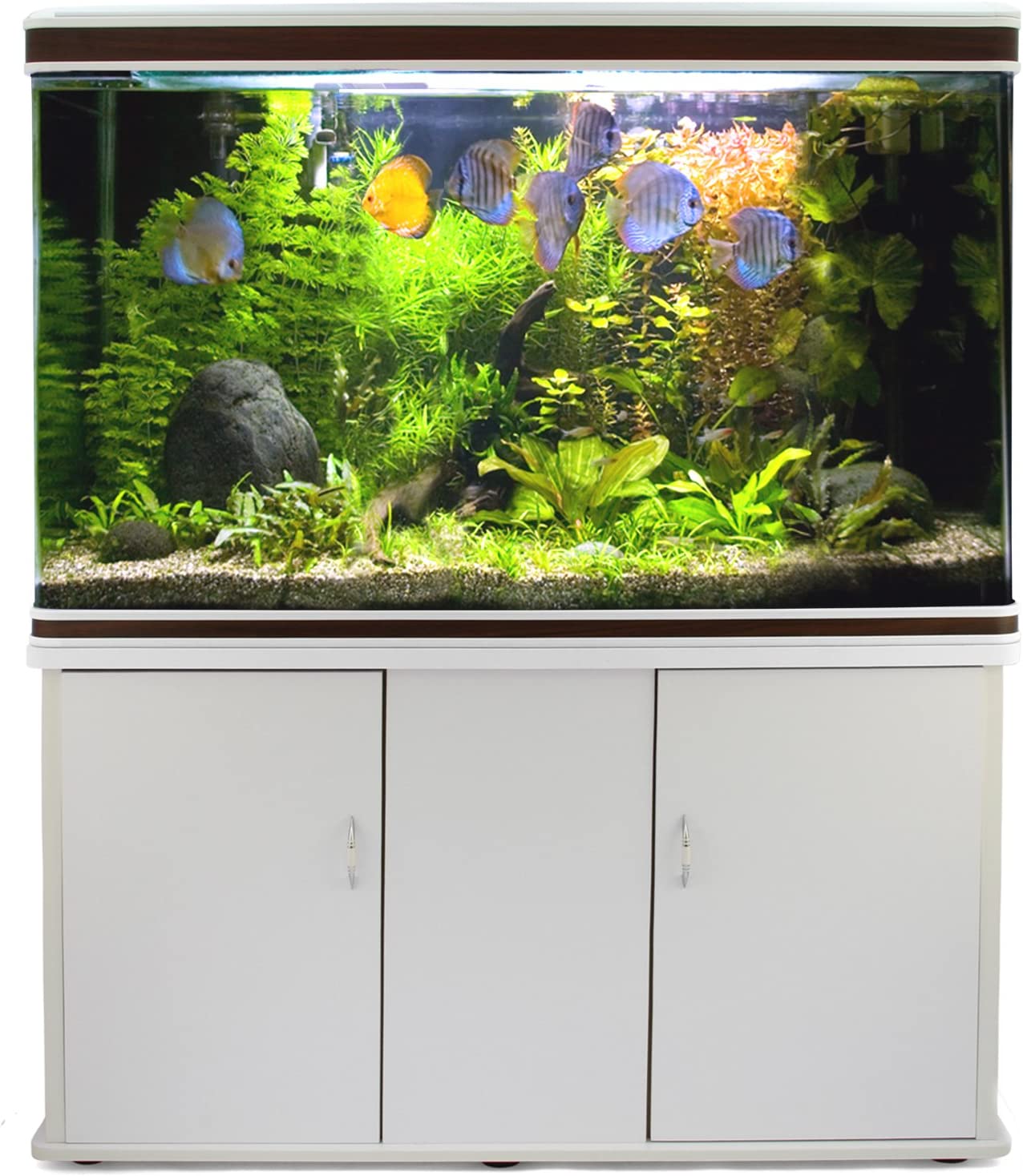 【Pet】【BS】Large Fish Tank Aquarium 4ft 300L Marine Tropical Salt Water Freshwater & Complete Starter Kit